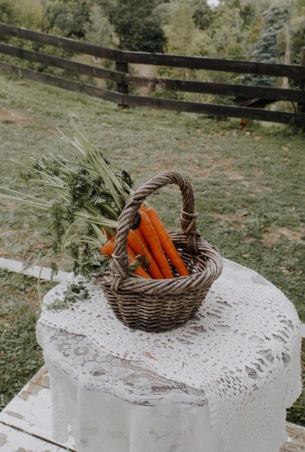 Thistle And Pine Cottage Farmstay Тауранга Екстериор снимка